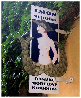 Salon Meluzína